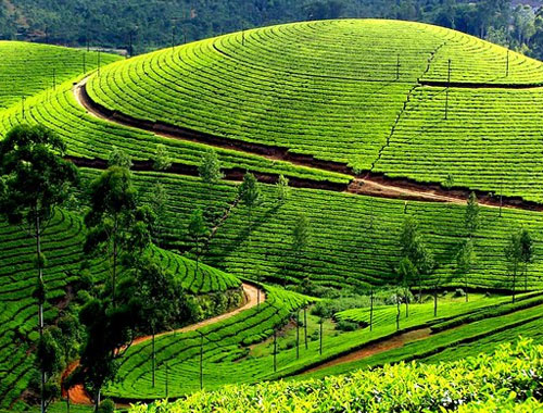 Kerala