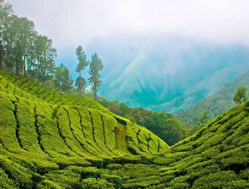 Kerala